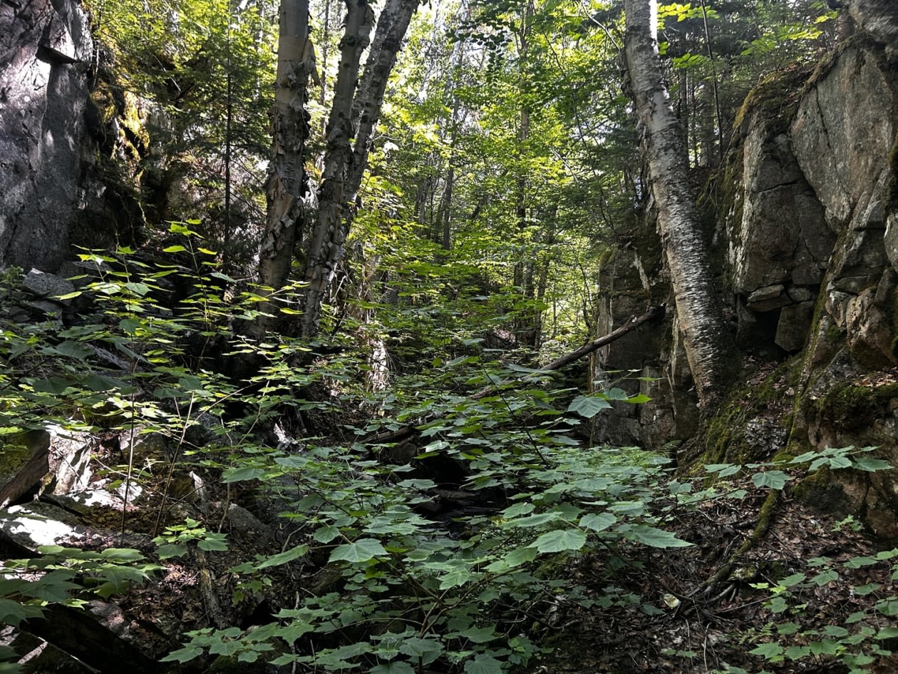 Photo 8 — chemin Jeanne-Ida-Gaudreault, Petit-Saguenay, G0V 1N0, Petit-Saguenay