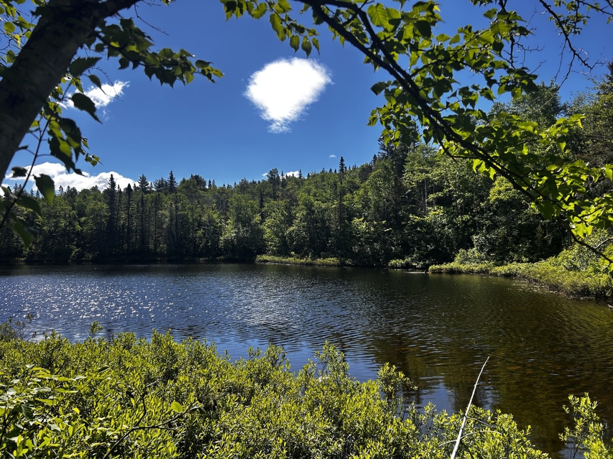 Photo 11 — chemin Jeanne-Ida-Gaudreault, Petit-Saguenay, G0V 1N0, Petit-Saguenay