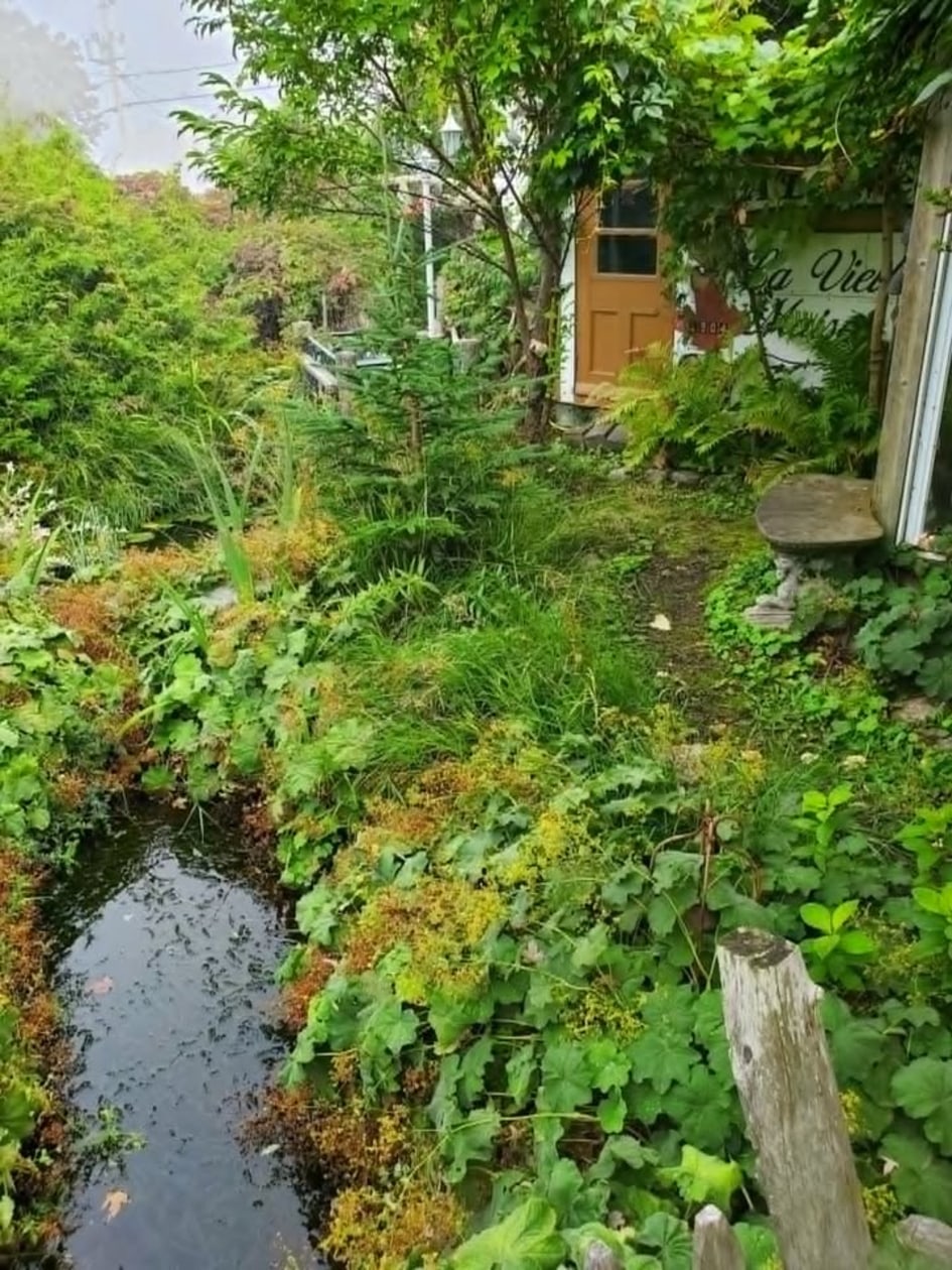 Photo 6 — 170 Rue Principale, Les Méchins, G0J 1T0, Les Méchins