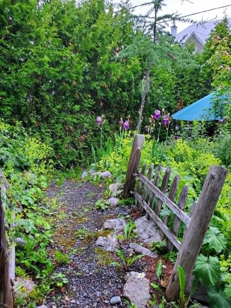 Photo 14 — 170 Rue Principale, Les Méchins, G0J 1T0, Les Méchins