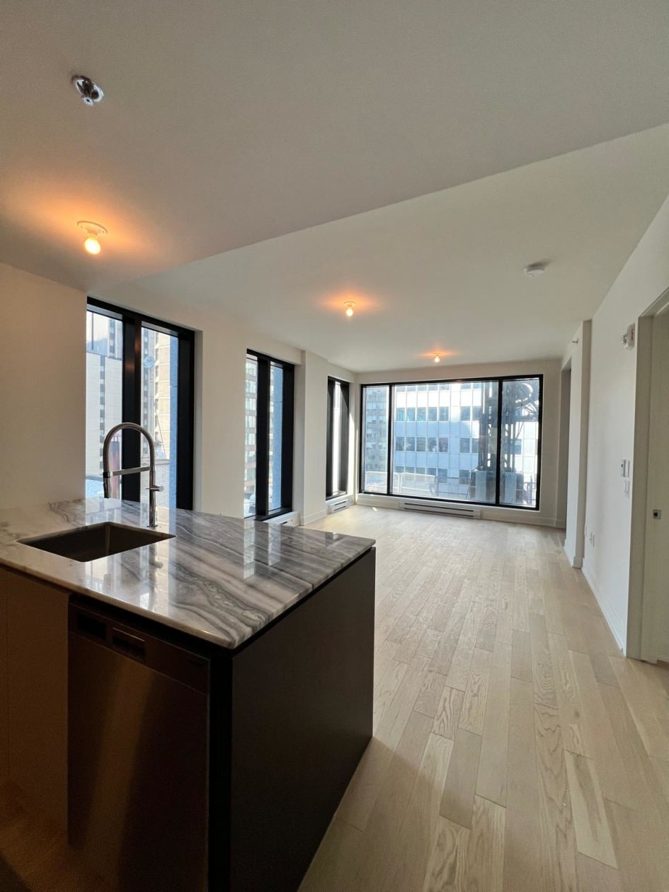 Photo 11 — 513-2060 Rue Peel, 513, Montréal, H3A 0J1, Montréal