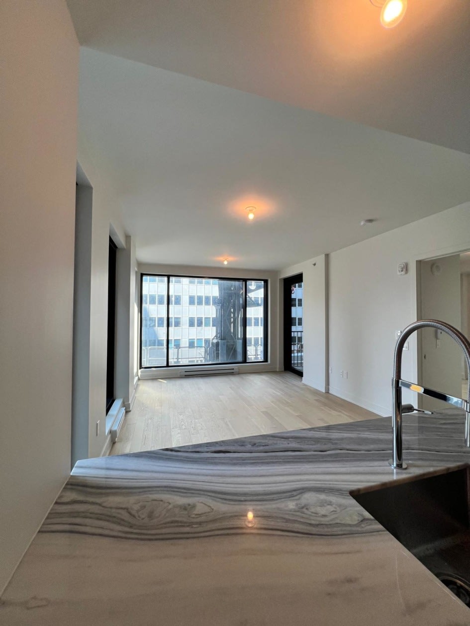 Photo 12 — 513-2060 Rue Peel, 513, Montréal, H3A 0J1, Montréal