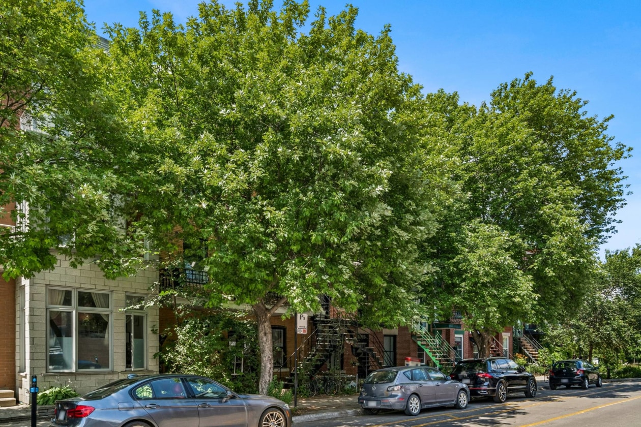 Extérieur — 1821 - 1825, Rue Marie-Anne E., Montréal (Le Plateau-Mont-Royal), H2H1M2, Montréal (Le Plateau-Mont-Royal)