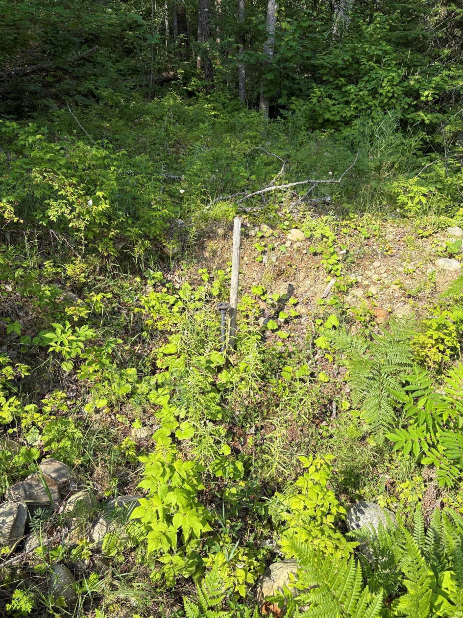 Terrain — Rue Lemire, Saint-Côme, J0K2B0, Saint-Côme