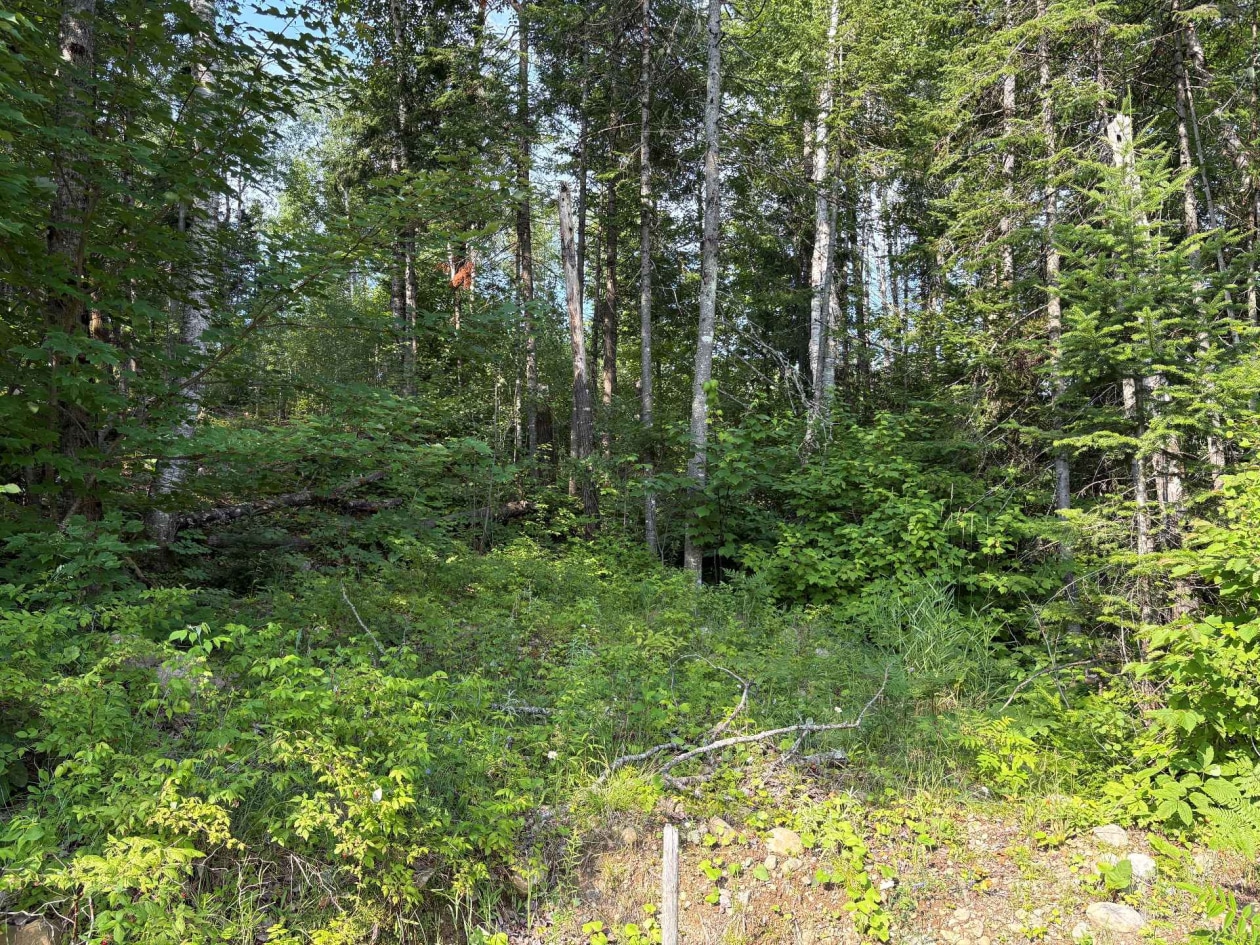 Terrain — Rue Lemire, Saint-Côme, J0K2B0, Saint-Côme