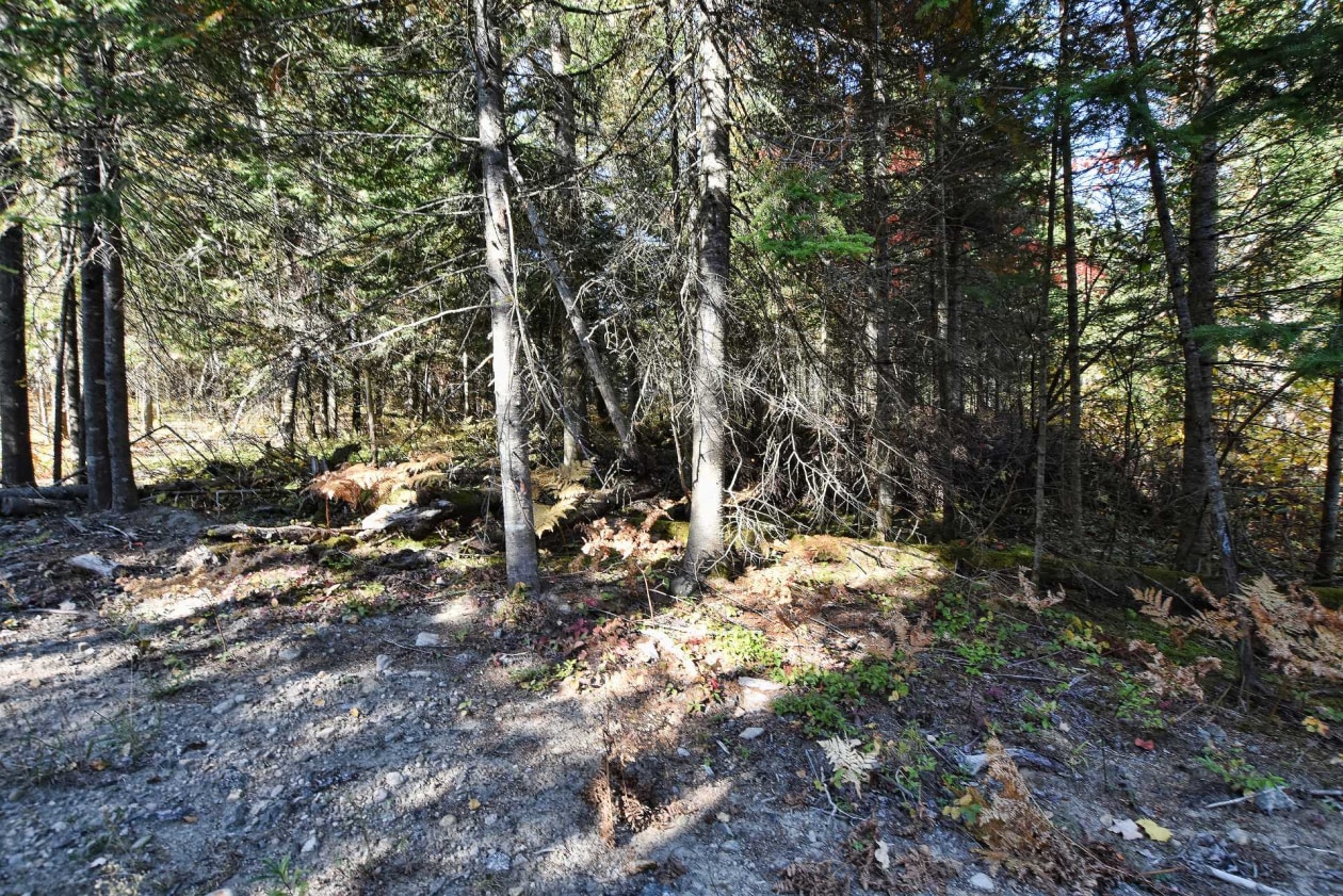 Terrain — 851, Ch. du Lac-à-la-Truite, Saint-Michel-des-Saints, J0K3B0, Saint-Michel-des-Saints