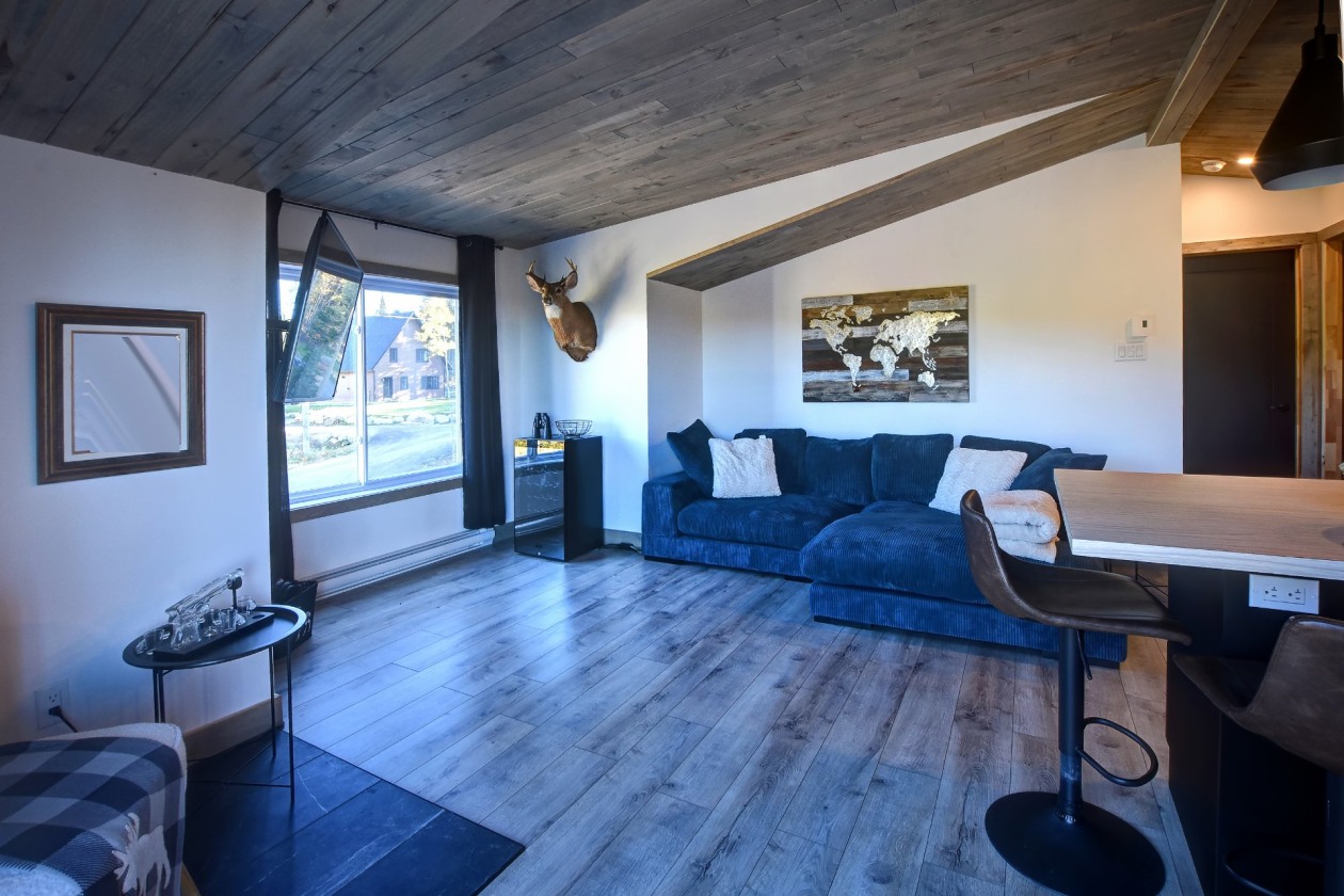 Salon — 11, Ch. des Noisettes, Saint-Michel-des-Saints, J0K3B0, Saint-Michel-des-Saints