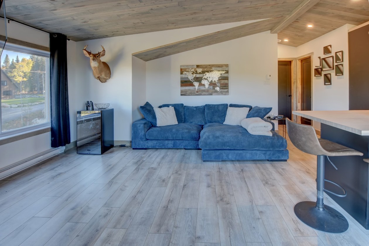 Salon — 11, Ch. des Noisettes, Saint-Michel-des-Saints, J0K3B0, Saint-Michel-des-Saints
