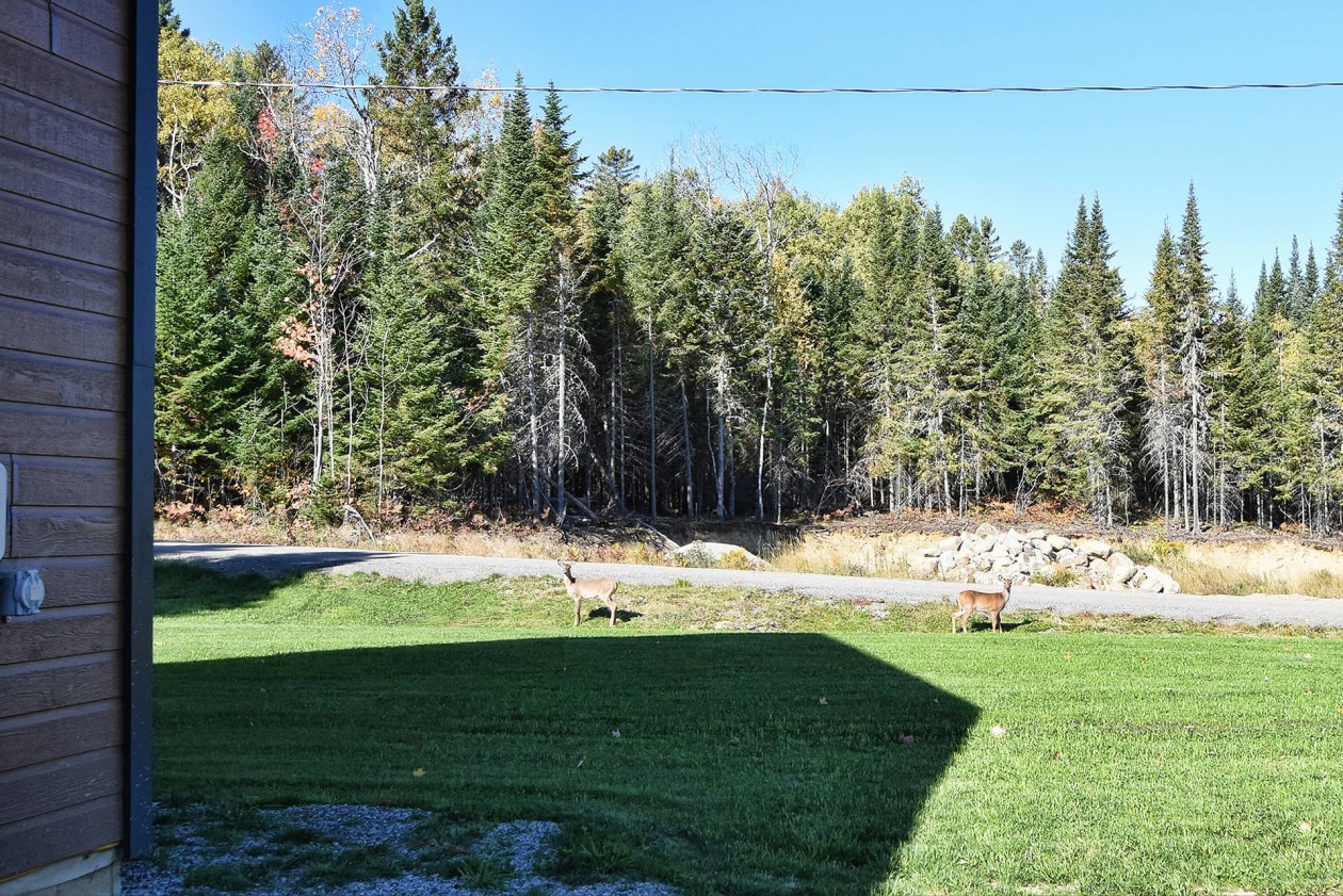Terrain — 110, Ch. des Aigles, Saint-Michel-des-Saints, J0K3B0, Saint-Michel-des-Saints