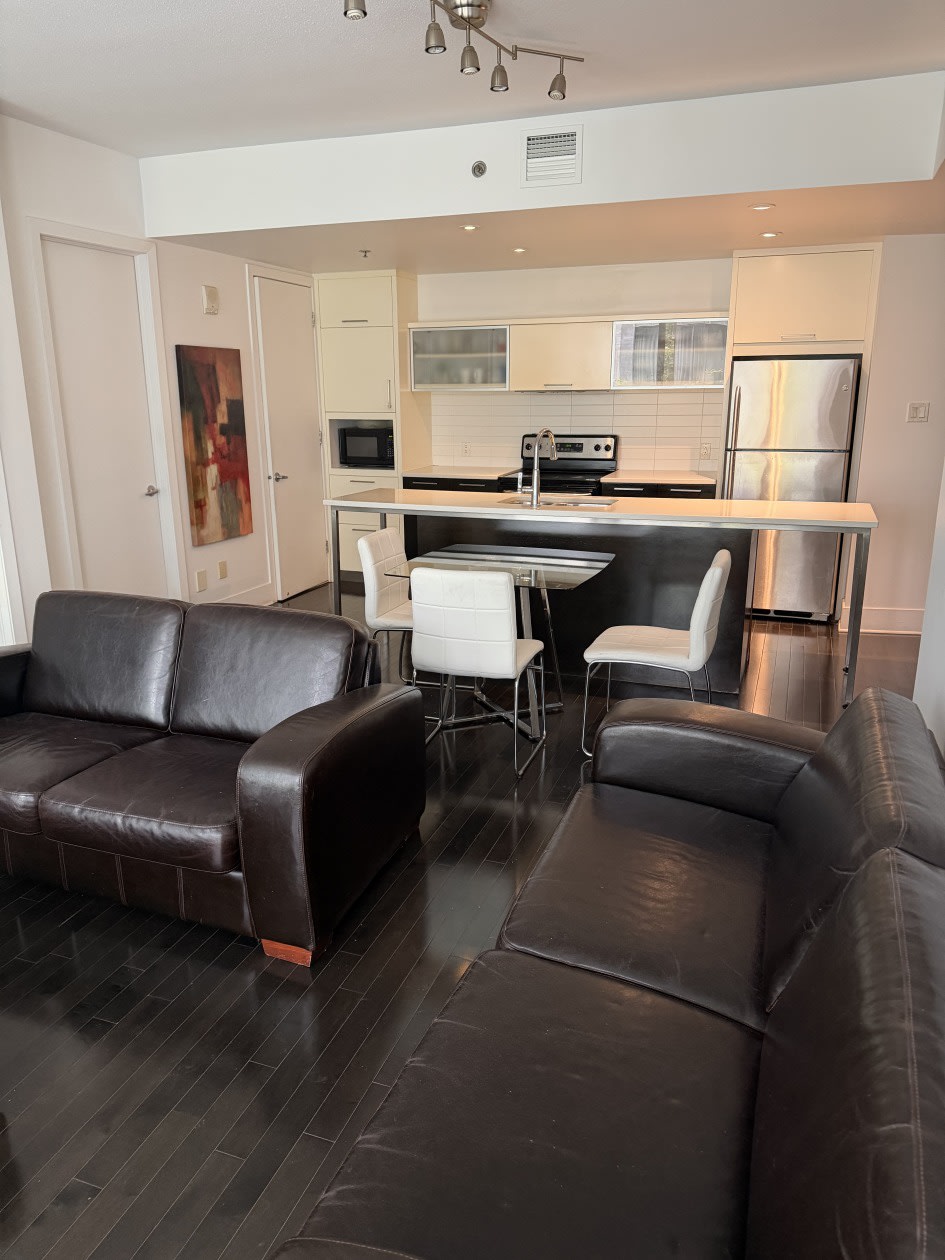 Photo 9 — 370 Rue Saint-André, 309, Montréal, H2L 0C4, Montréal