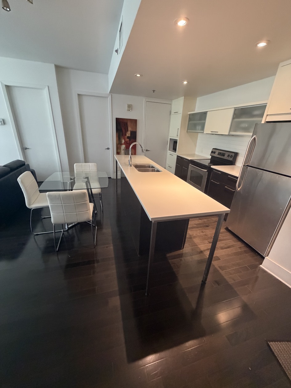 Photo 10 — 370 Rue Saint-André, 309, Montréal, H2L 0C4, Montréal