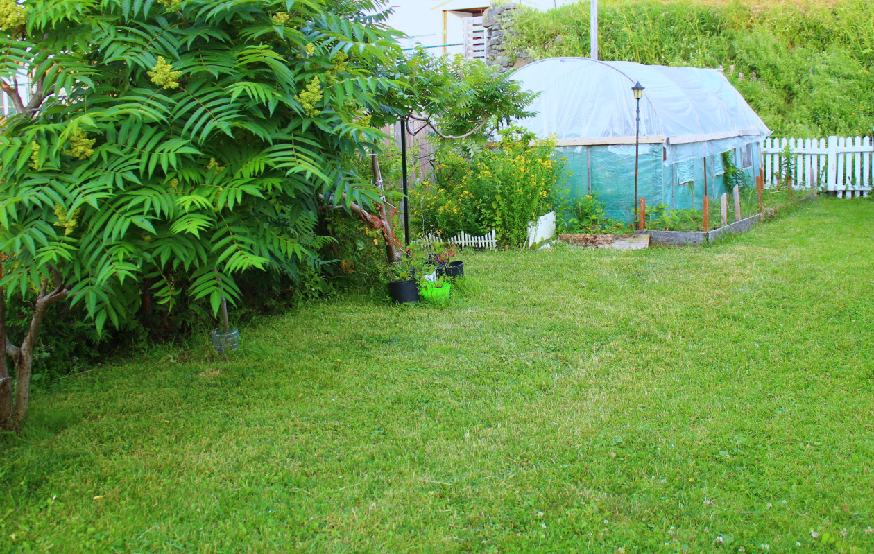Cour — 7 Côte Des Neiges, Cap-Chat, G0J 1E0, Cap-Chat