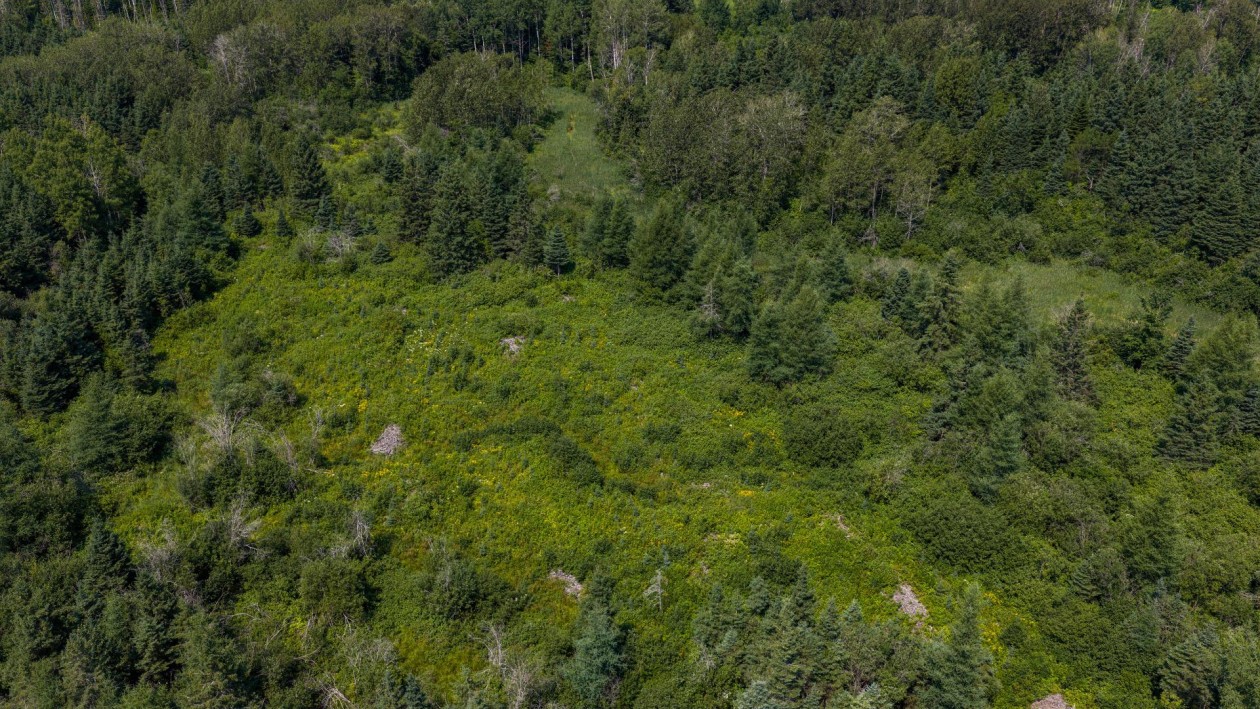 Photo aérienne — 6e Rang O., Saint-Donat, G0K1L0, Saint-Donat