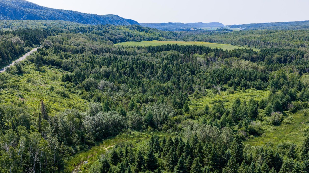Photo aérienne — 6e Rang O., Saint-Donat, G0K1L0, Saint-Donat