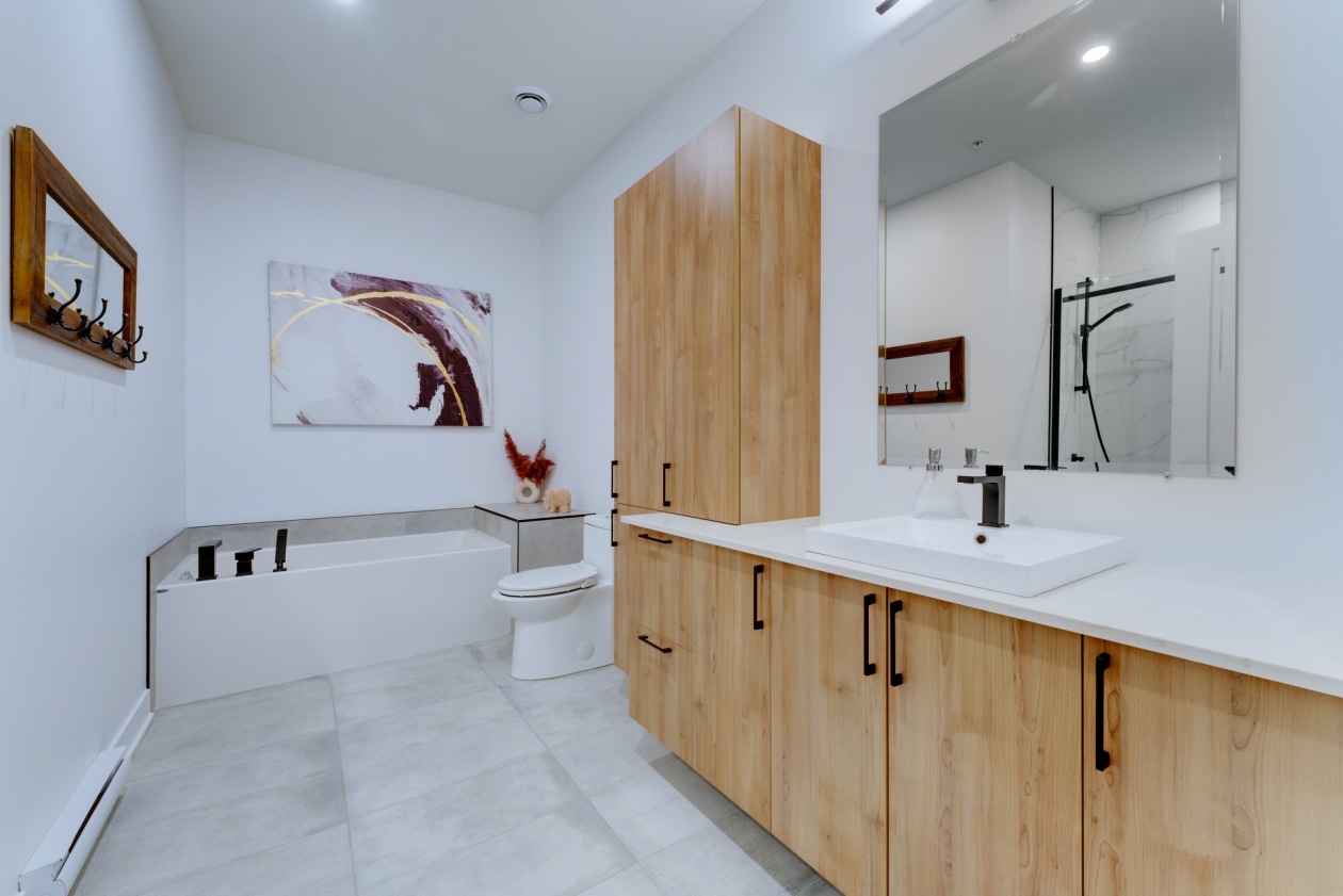 Salle de bains — 4220, Rue Olivier-Fournier, 608, Longueuil (Saint-Hubert), J3Y1G5, Longueuil (Saint-Hubert)
