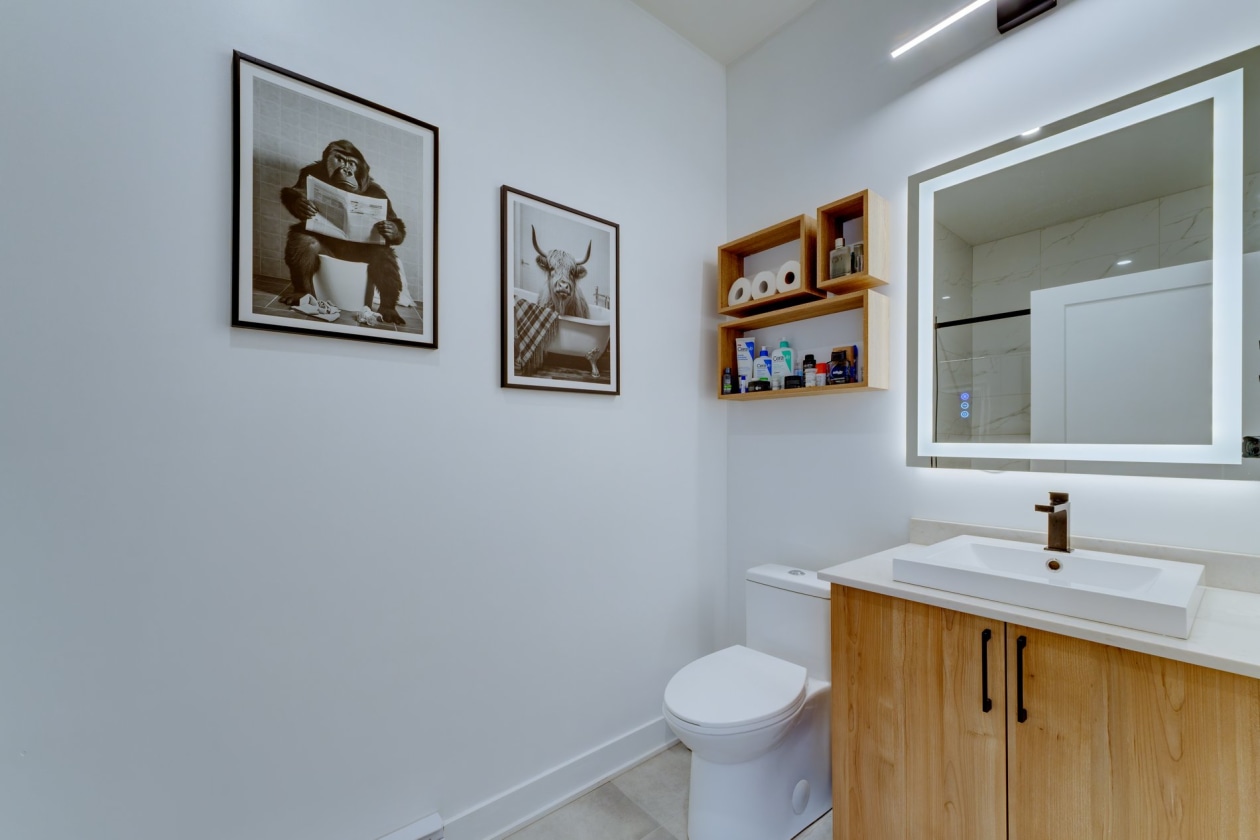 Salle de bains — 4220, Rue Olivier-Fournier, 608, Longueuil (Saint-Hubert), J3Y1G5, Longueuil (Saint-Hubert)