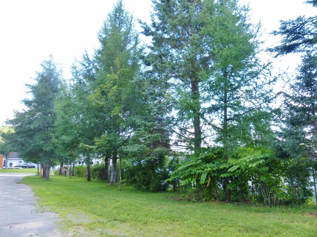 Photo 24 — 763 Rue Jacques-Bédard, Quebec, G2N 1E1, Quebec