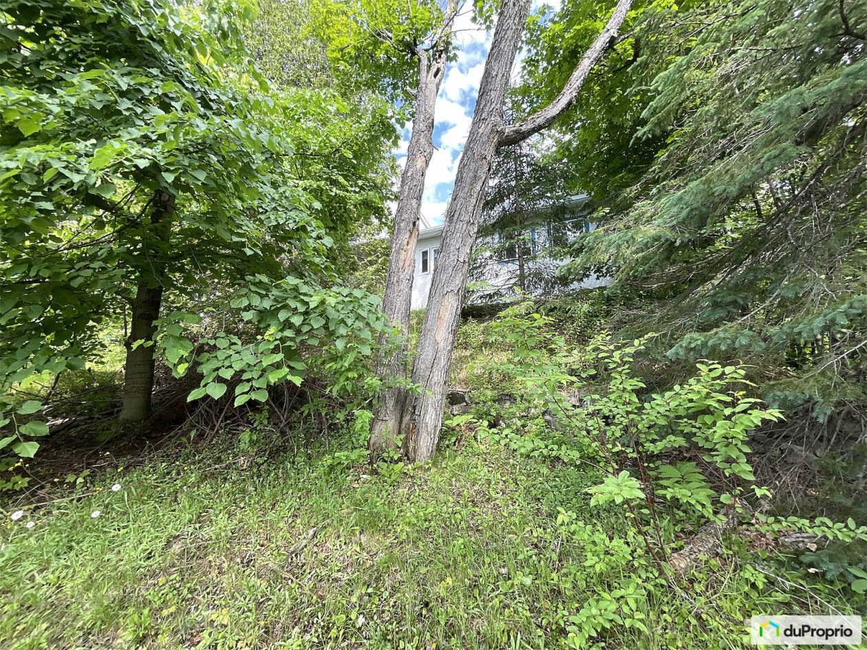 Photo 4 — 19 Av Des Ardennes, Estérel, J0T 1E0, Estérel