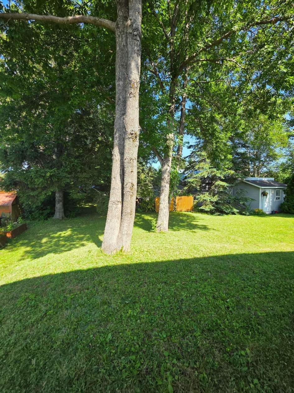 Cour — 1254, Ch. de Price, Mont-Joli, G5H3K6, Mont-Joli