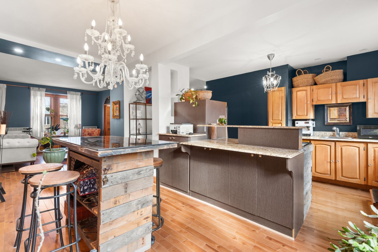 Vue d'ensemble — 3706A, Rue St-Hubert, Montréal (Le Plateau-Mont-Royal), H2L4A2, Montréal (Le Plateau-Mont-Royal)