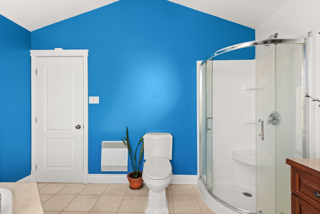 Salle de bains — 665, Rue Vincent-Sicari, Sainte-Julienne, J0K2T0, Sainte-Julienne