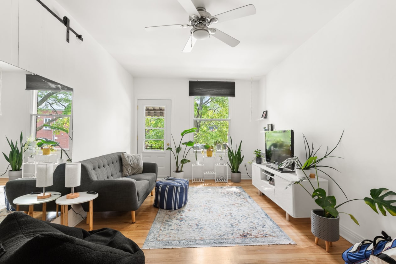 Salon — 5969 - 5971, 12e Avenue, Montréal (Rosemont/La Petite-Patrie), H1X3A3, Montréal (Rosemont/La Petite-Patrie)