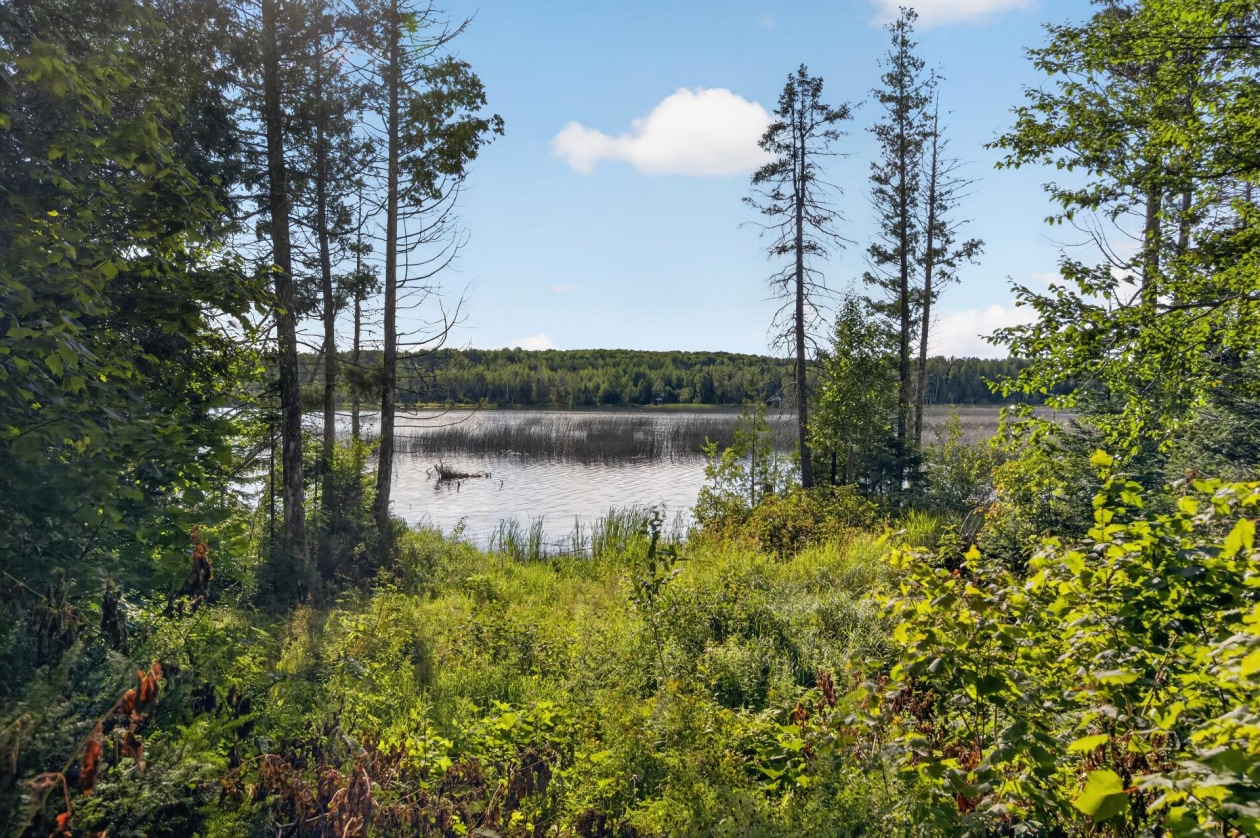 Accès au plan d'eau — 19, Ch. du Lac-des-Joncs, Les Hauteurs, G0K1C0, Les Hauteurs