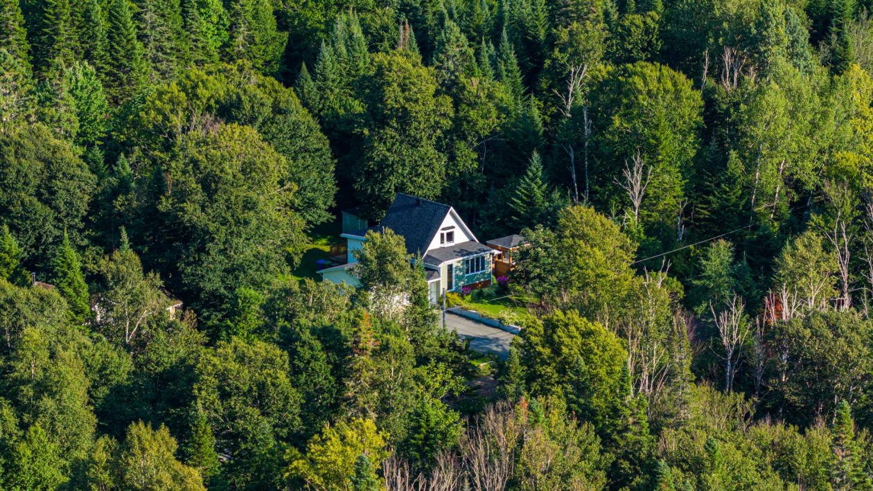 Photo aérienne — 19, Ch. du Lac-des-Joncs, Les Hauteurs, G0K1C0, Les Hauteurs