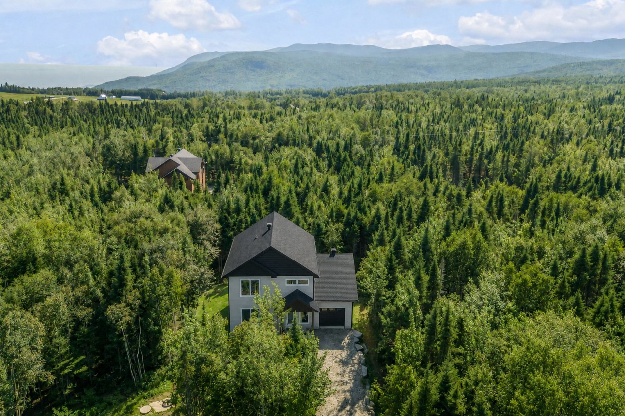 Photo aérienne — 194, Ch. de la Martine, Petite-Rivière-Saint-François, G0A2L0, Petite-Rivière-Saint-François