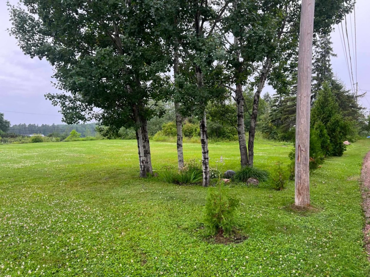 Terrain — Boul. Horace-J.-Beemer, Roberval, G8H2N2, Roberval