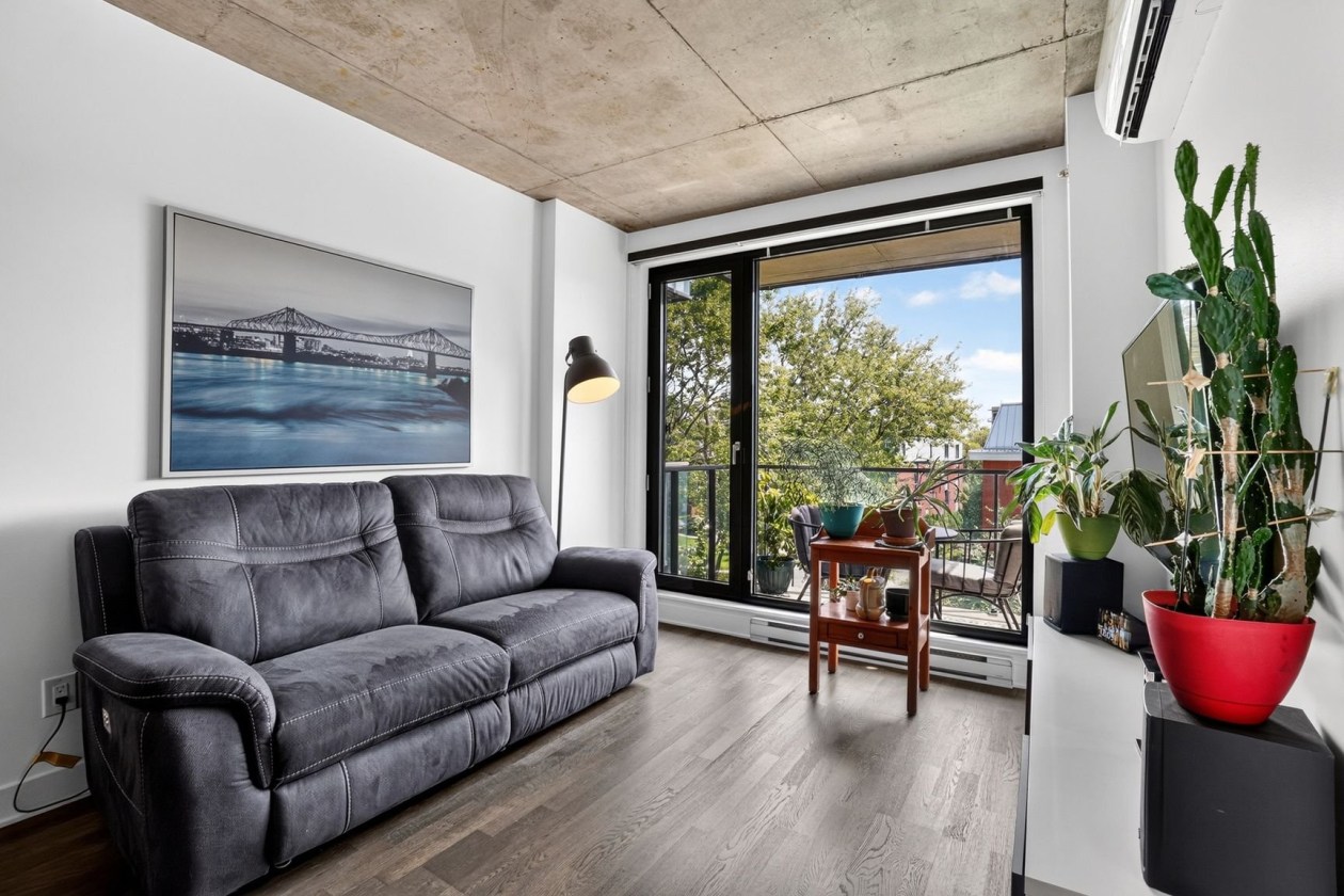 Salon — 3100, Rue Rachel E., 426, Montréal (Rosemont/La Petite-Patrie), H1W0B5, Montréal (Rosemont/La Petite-Patrie)