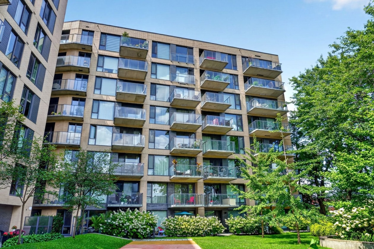 Face arrière — 3100, Rue Rachel E., 426, Montréal (Rosemont/La Petite-Patrie), H1W0B5, Montréal (Rosemont/La Petite-Patrie)