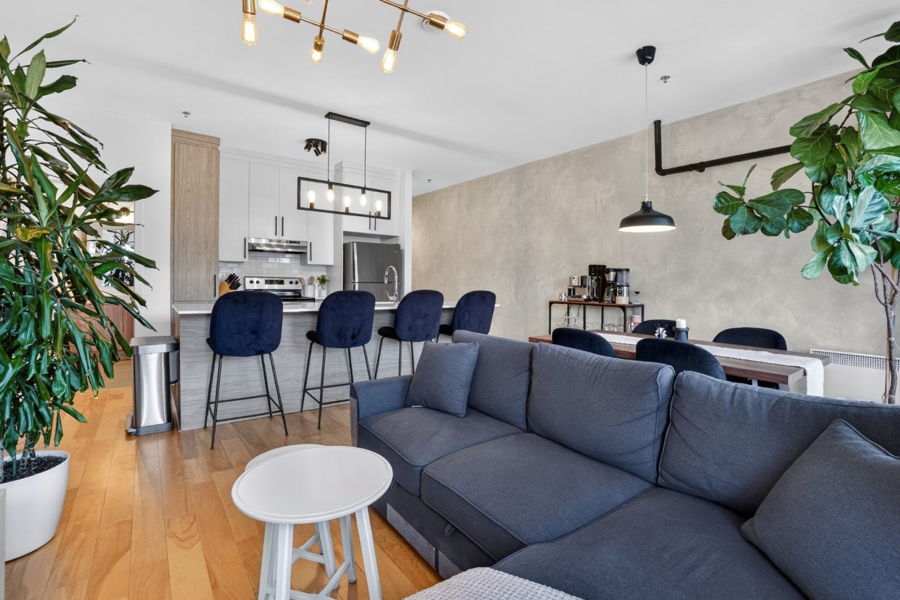 Vue d'ensemble — 3430, Rue Masson, 201, Montréal (Rosemont/La Petite-Patrie), H1X1R7, Montréal (Rosemont/La Petite-Patrie)