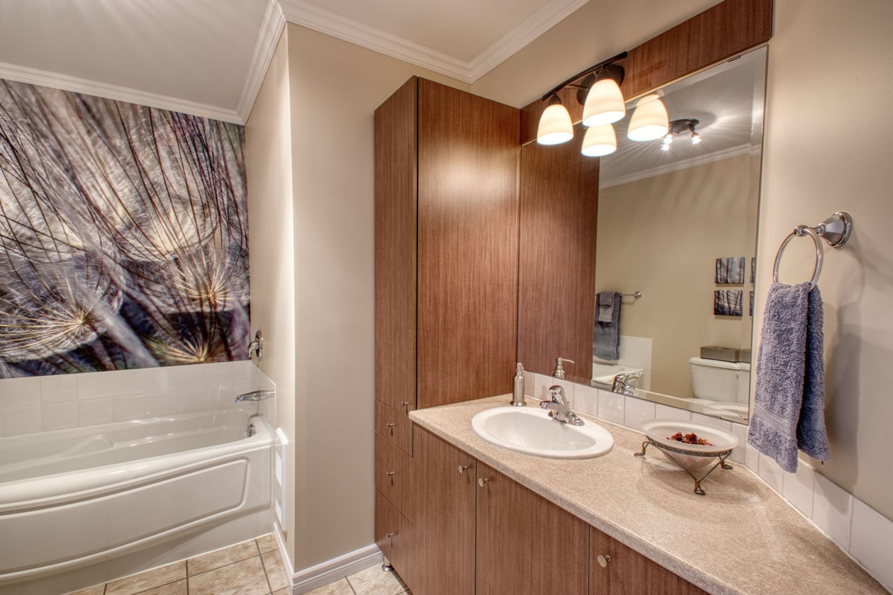 Salle de bains — 4239, Rue Pavillon, Sherbrooke (Brompton/Rock Forest/Saint-Élie/Deauville), J1N0J4, Sherbrooke (Brompton/Rock Forest/Saint-Élie/Deauville)