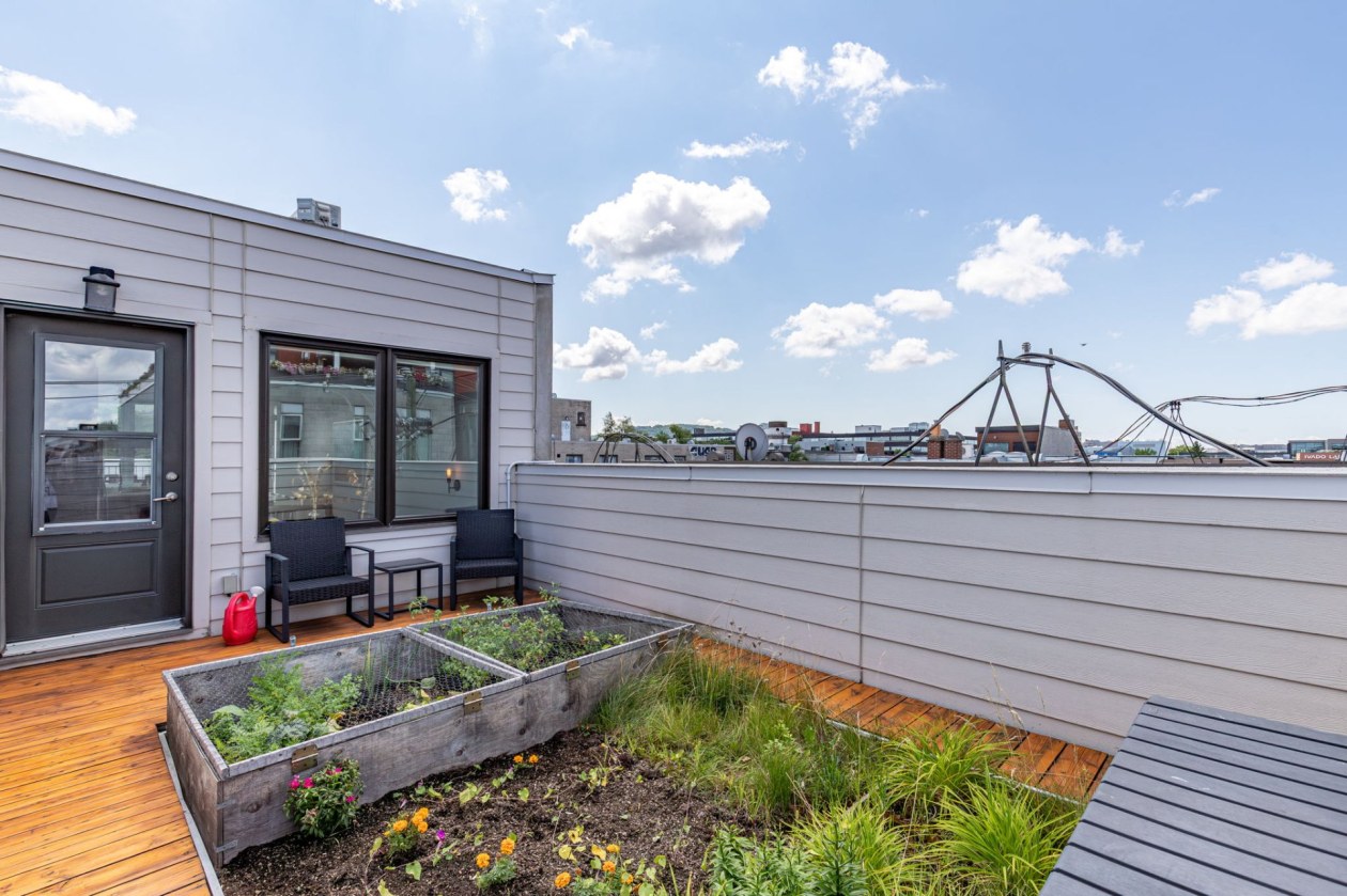 Terrasse — 28, Rue Dante, Montréal (Rosemont/La Petite-Patrie), H2S1J5, Montréal (Rosemont/La Petite-Patrie)