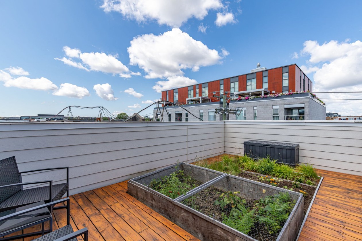 Terrasse — 28, Rue Dante, Montréal (Rosemont/La Petite-Patrie), H2S1J5, Montréal (Rosemont/La Petite-Patrie)