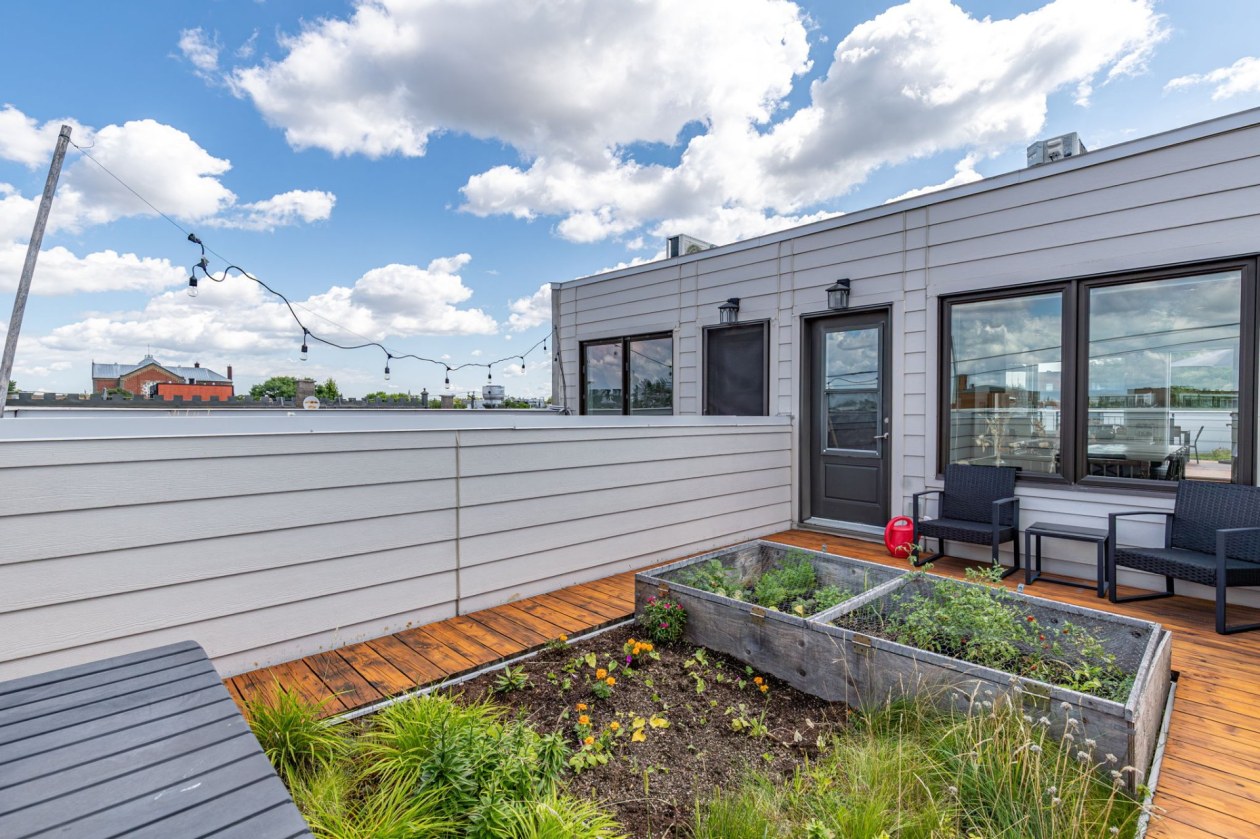 Terrasse — 28, Rue Dante, Montréal (Rosemont/La Petite-Patrie), H2S1J5, Montréal (Rosemont/La Petite-Patrie)