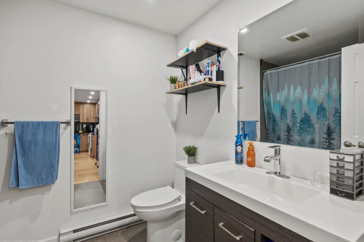 Salle de bains — 9048 - 9050, Av. Dubuisson, Montréal (Mercier/Hochelaga-Maisonneuve), H1L2W8, Montréal (Mercier/Hochelaga-Maisonneuve)