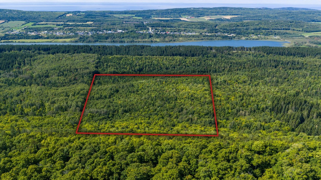 Photo aérienne — Rg Petit-4e, Saint-Mathieu-de-Rioux