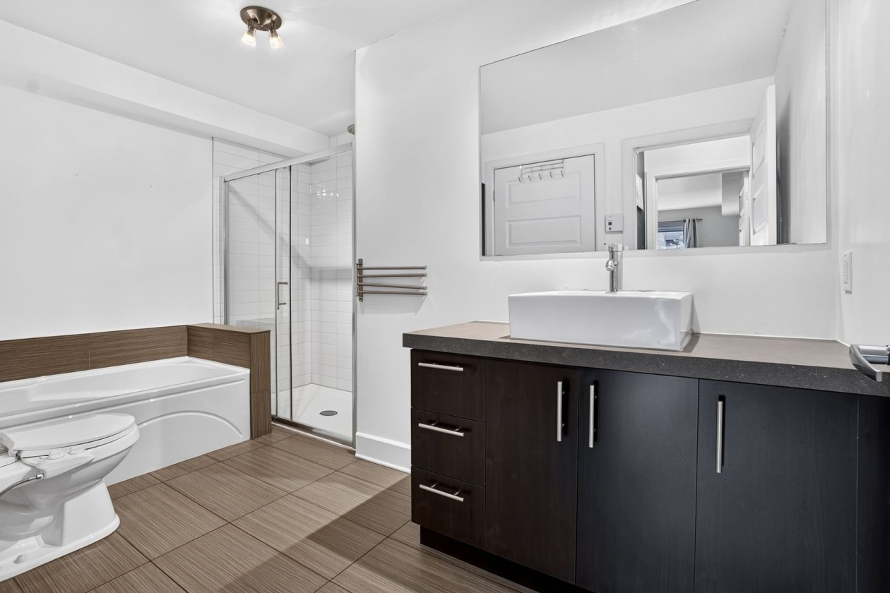 Salle de bains — 5666, Rue De Normanville, 102, Montréal (Rosemont/La Petite-Patrie), H2S2B2, Montréal (Rosemont/La Petite-Patrie)