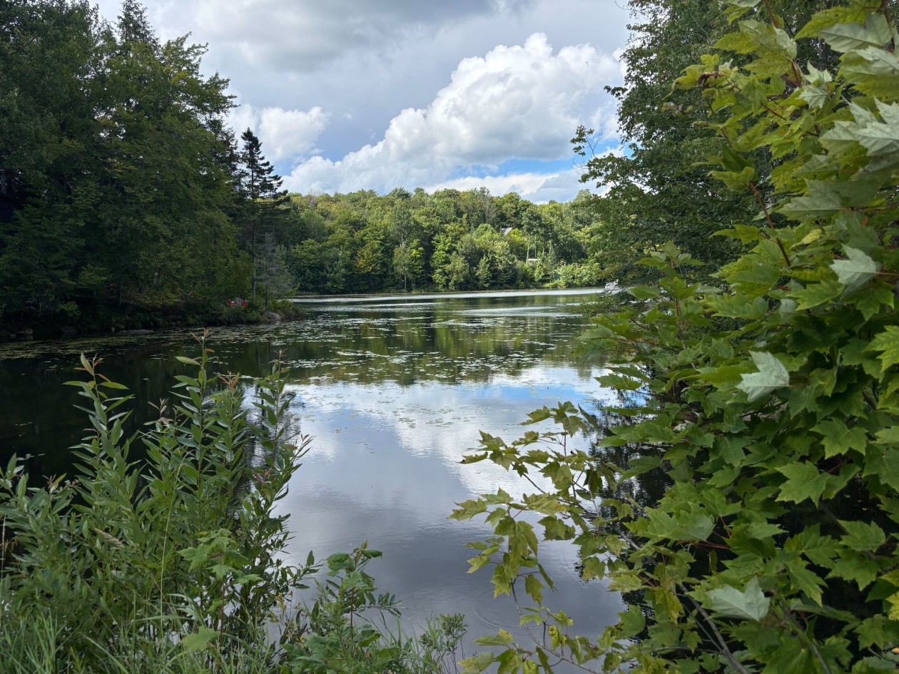 Accès au plan d'eau — Ch. Lobel, Brownsburg-Chatham