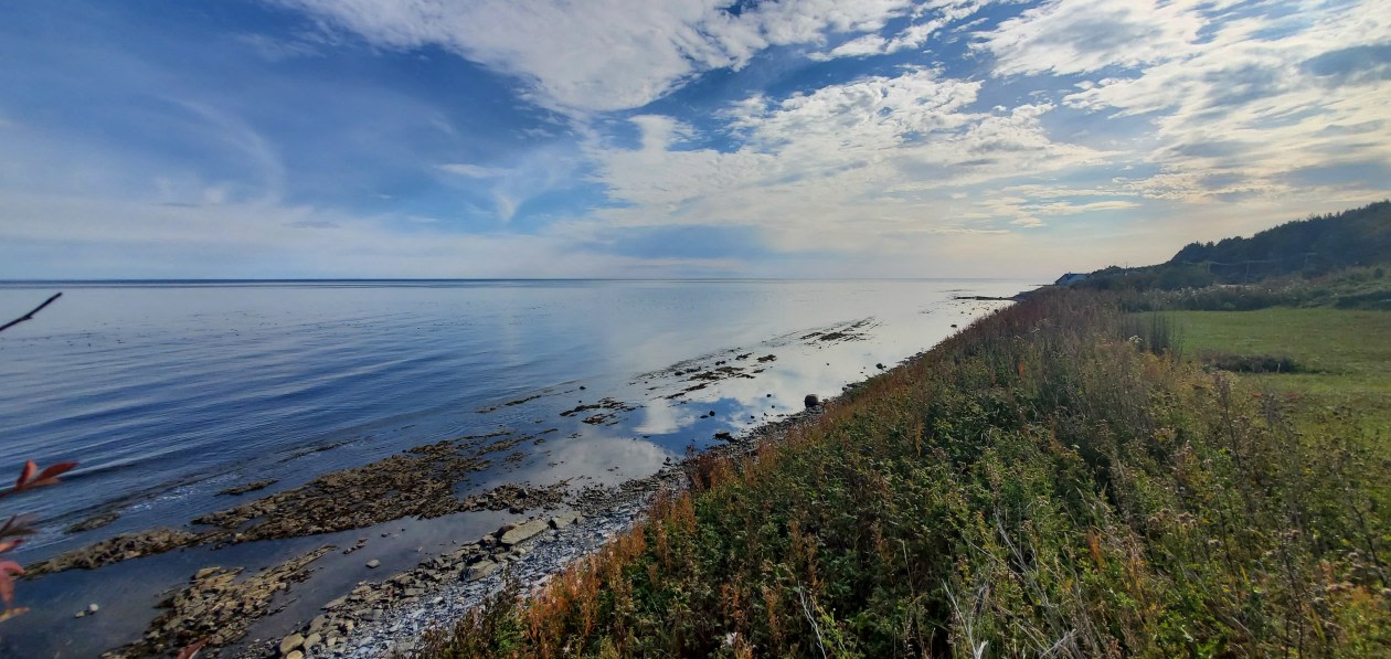 Bord de l'eau — 702 Boul De Saint-Maurice, Gaspé, G4X 4B8, Gaspé
