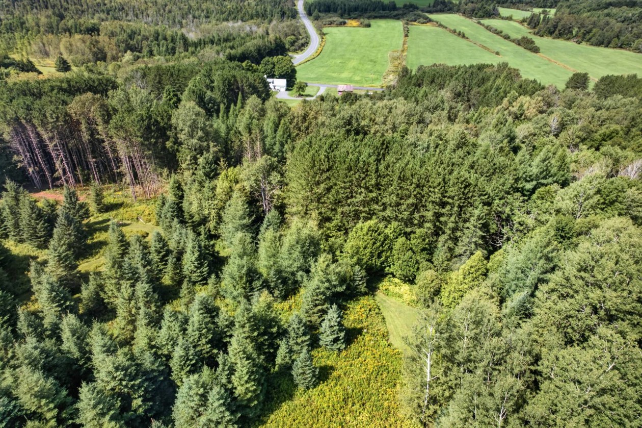 Photo aérienne — 1711, Ch. Lévesque, Coaticook, J1A2S4, Coaticook