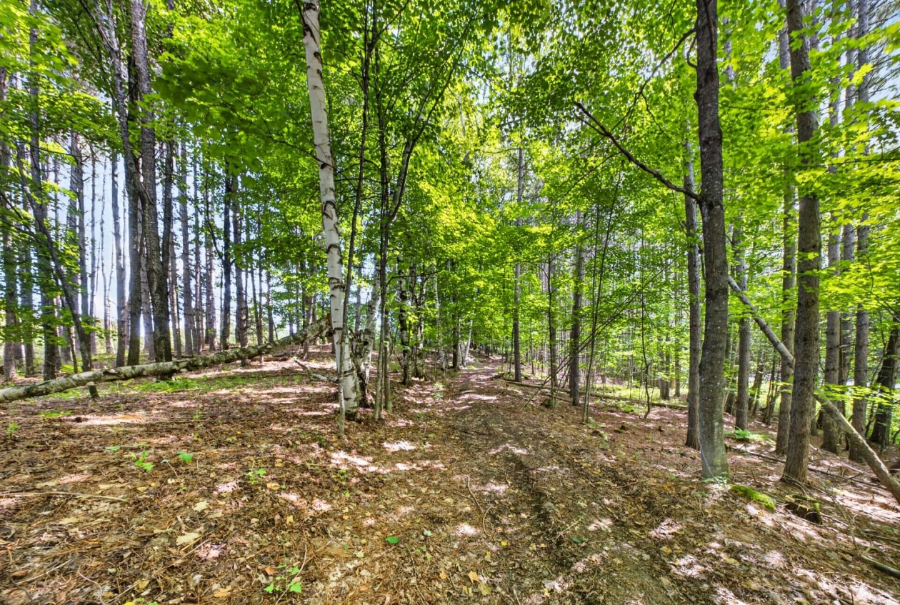 Boisé — 1711, Ch. Lévesque, Coaticook, J1A2S4, Coaticook