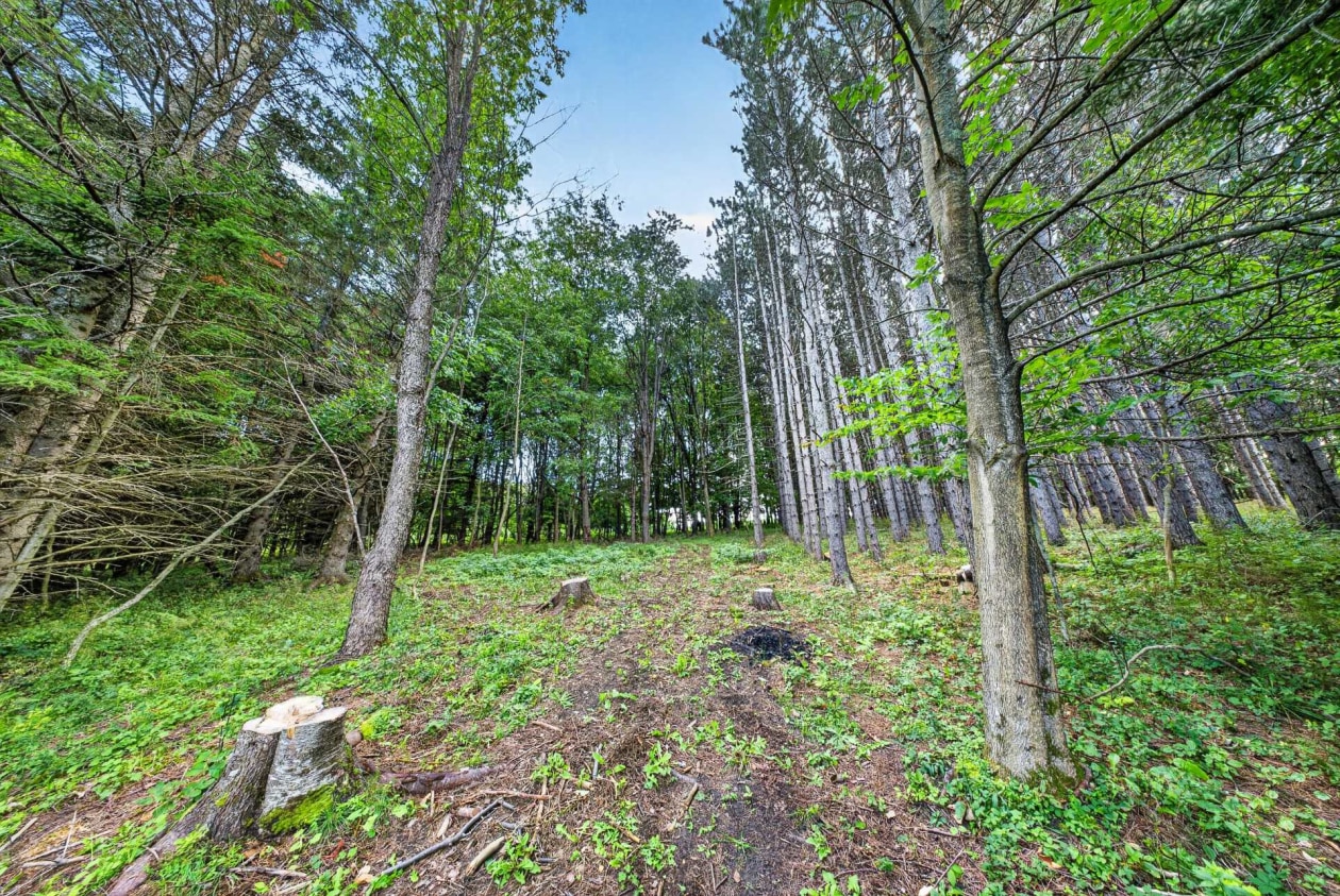 Boisé — 1711, Ch. Lévesque, Coaticook, J1A2S4, Coaticook