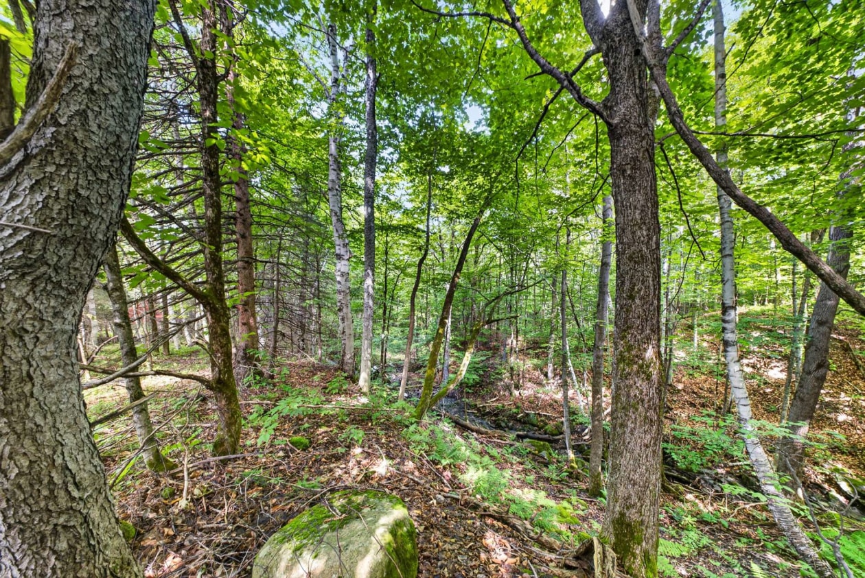 Boisé — 1711, Ch. Lévesque, Coaticook, J1A2S4, Coaticook