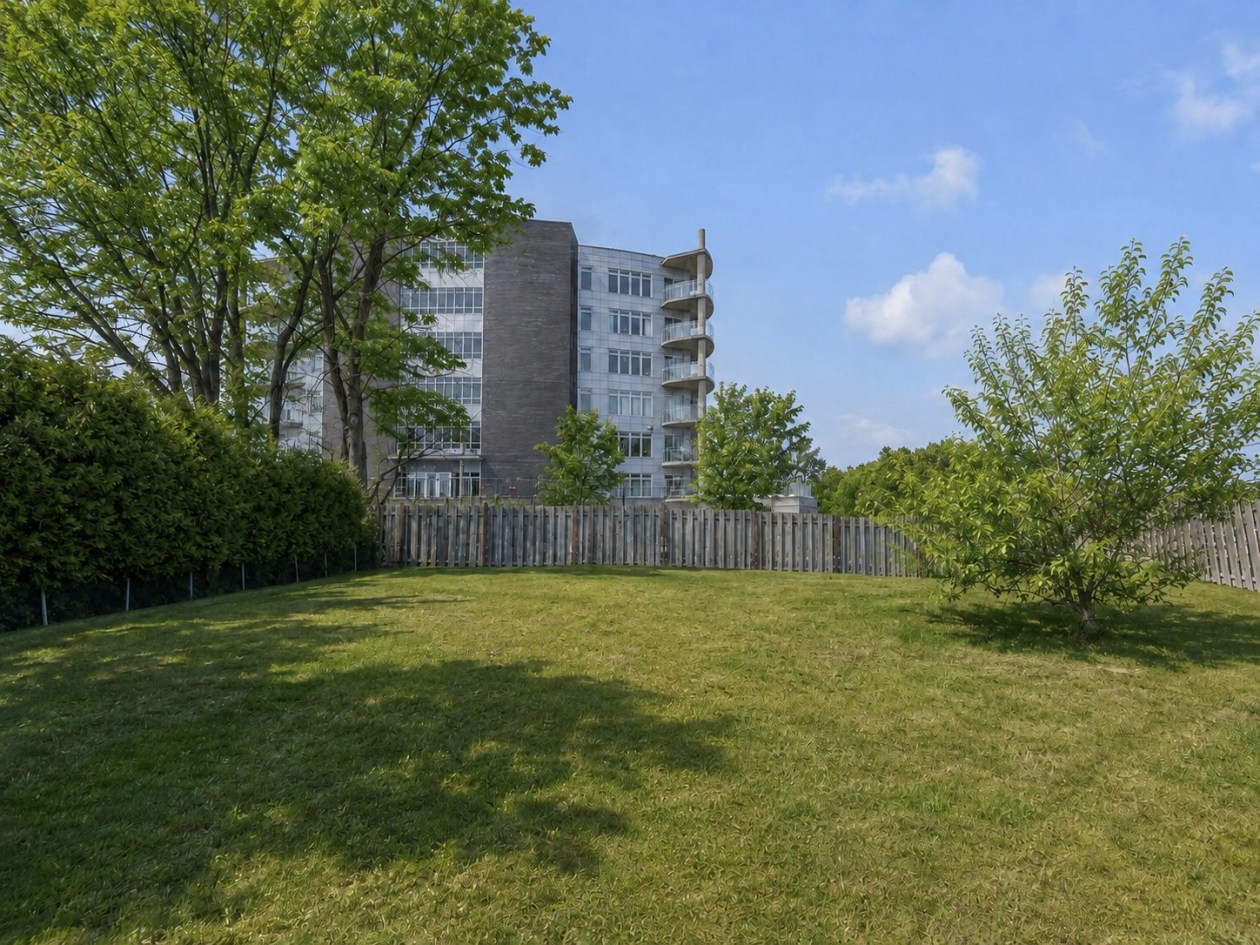 Cour — 5221, Rue St-Georges, Lévis (Desjardins), G6V4P1, Lévis (Desjardins)