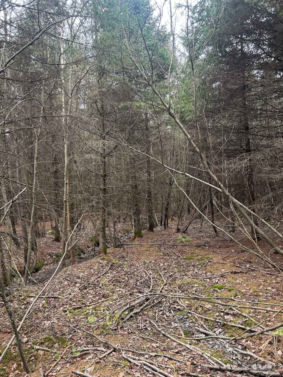 Terrain — Rg Ste-Anne, Saint-Norbert