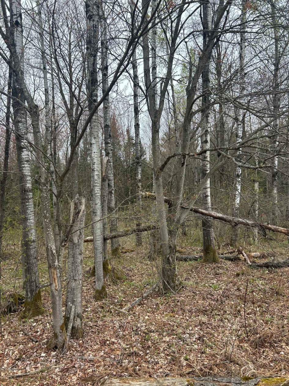 Terrain — Rg Ste-Anne, Saint-Norbert