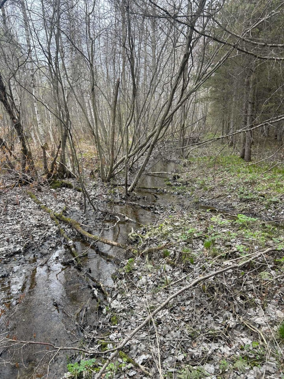 Terrain — Rg Ste-Anne, Saint-Norbert